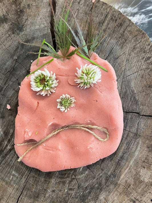 Foraged Faces Feelings and Friends