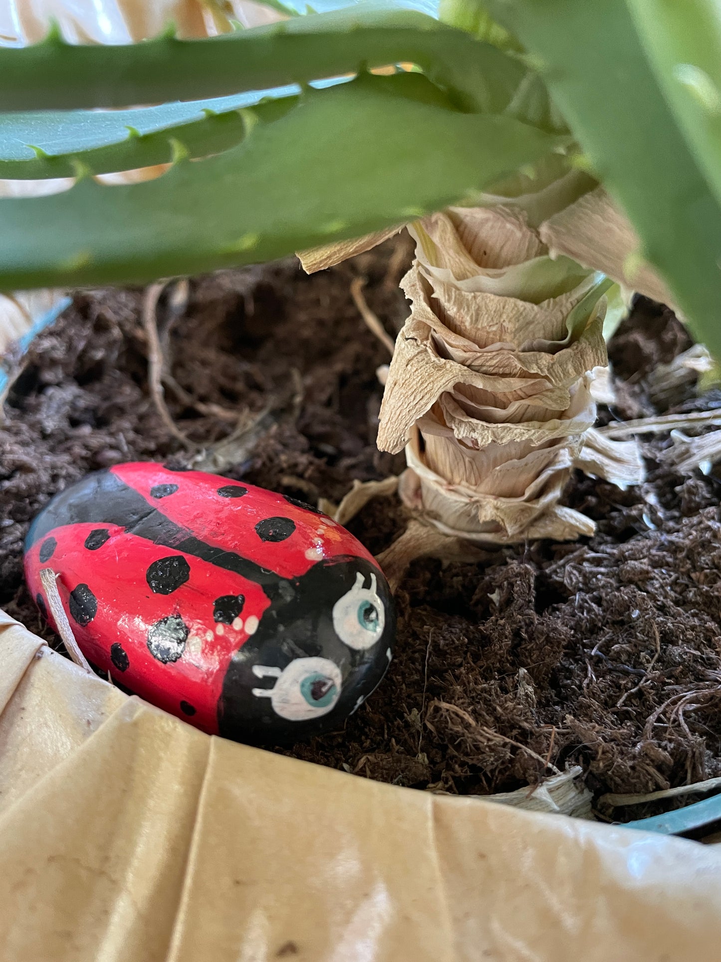 Hand Painted Garden Stones