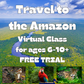 Travel to the Amazon Rainforest: Virtual Classes on Zoom, Tuesdays at 9:30 EST