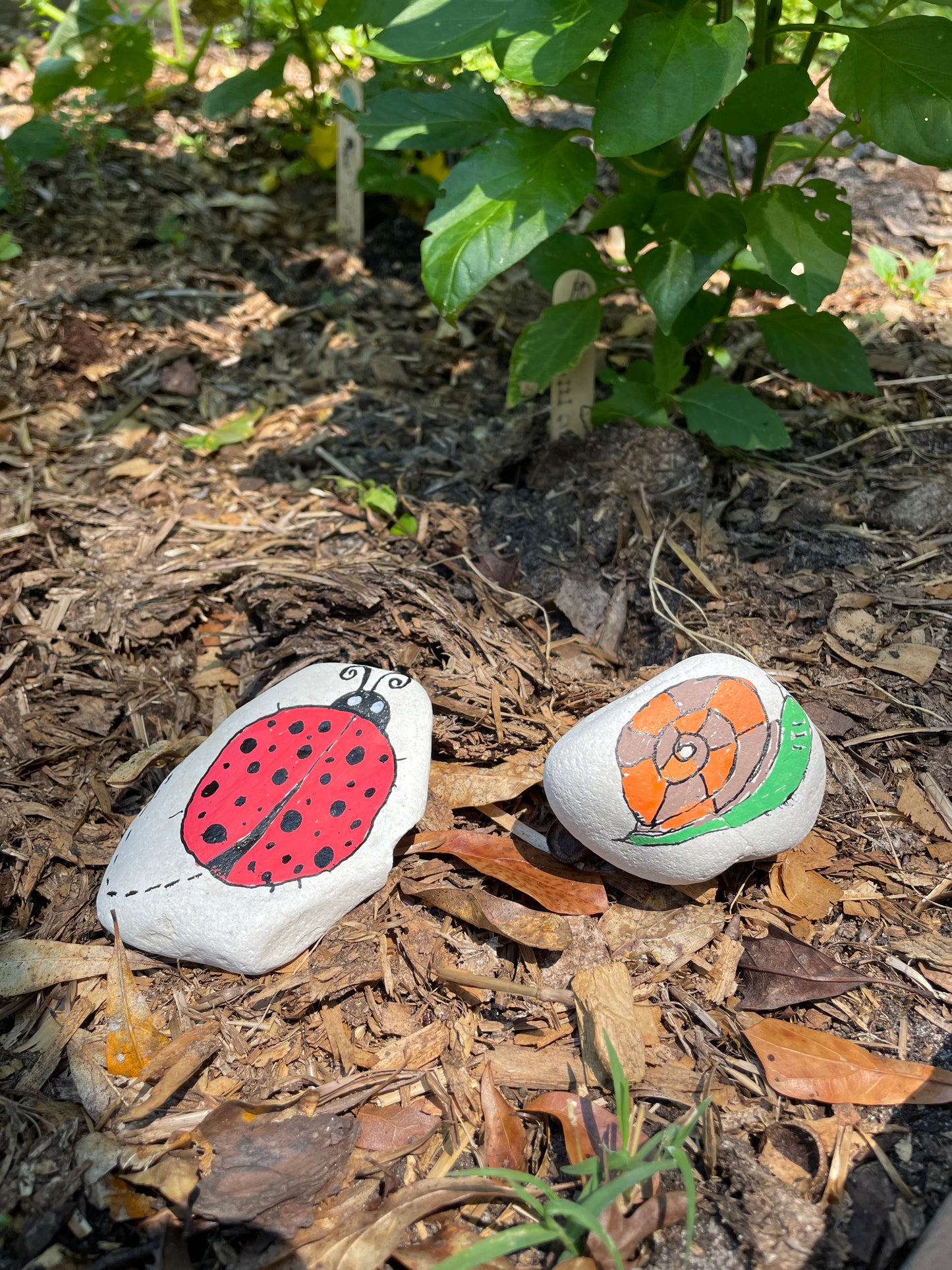 Hand Painted Garden Stones