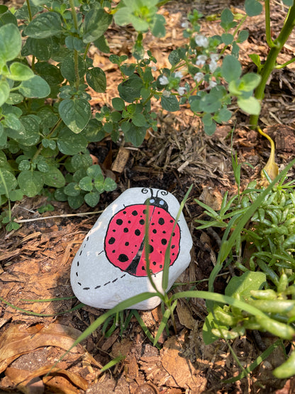 Hand Painted Garden Stones