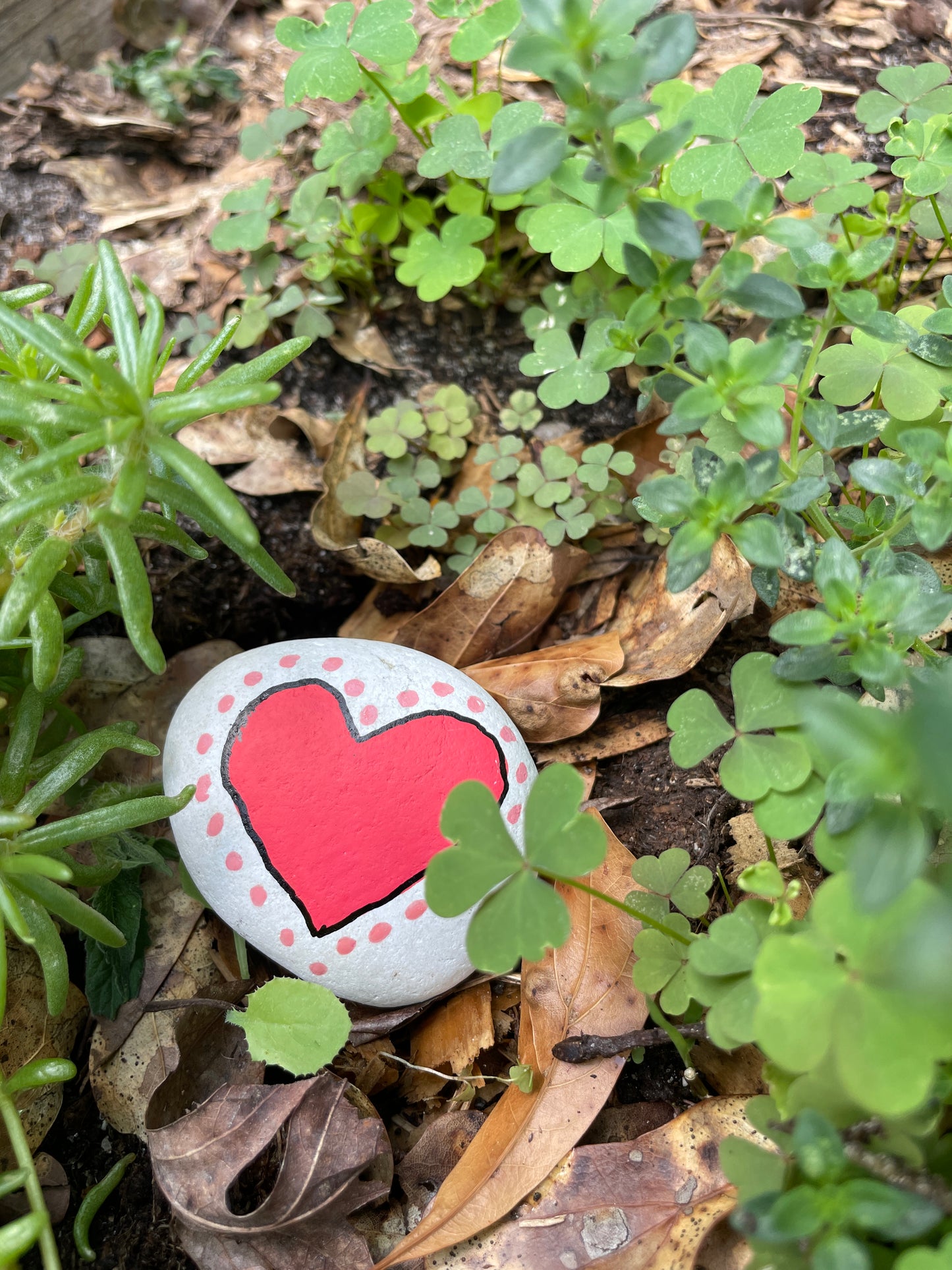 Hand Painted Garden Stones