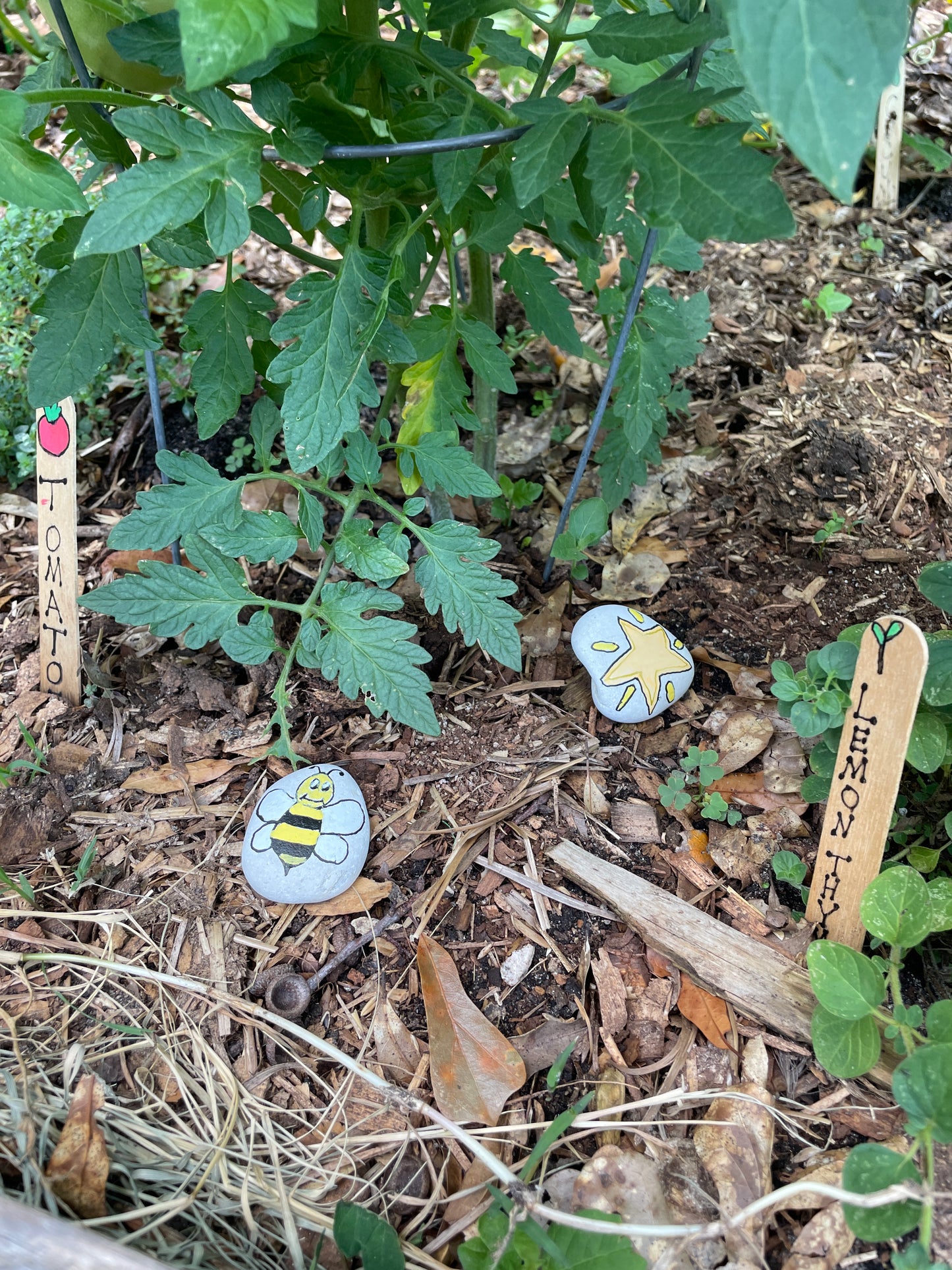 Hand Painted Garden Stones