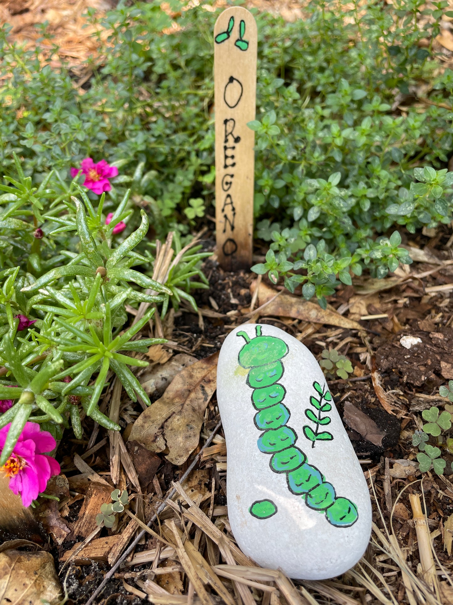 Hand Painted Garden Stones