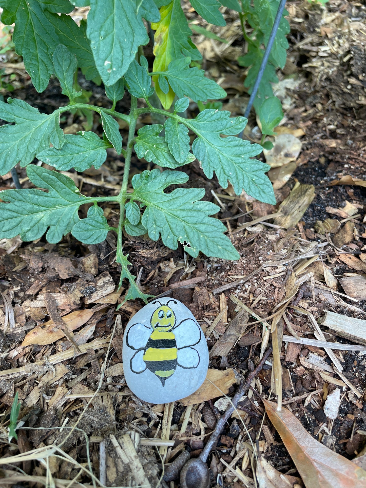 Hand Painted Garden Stones