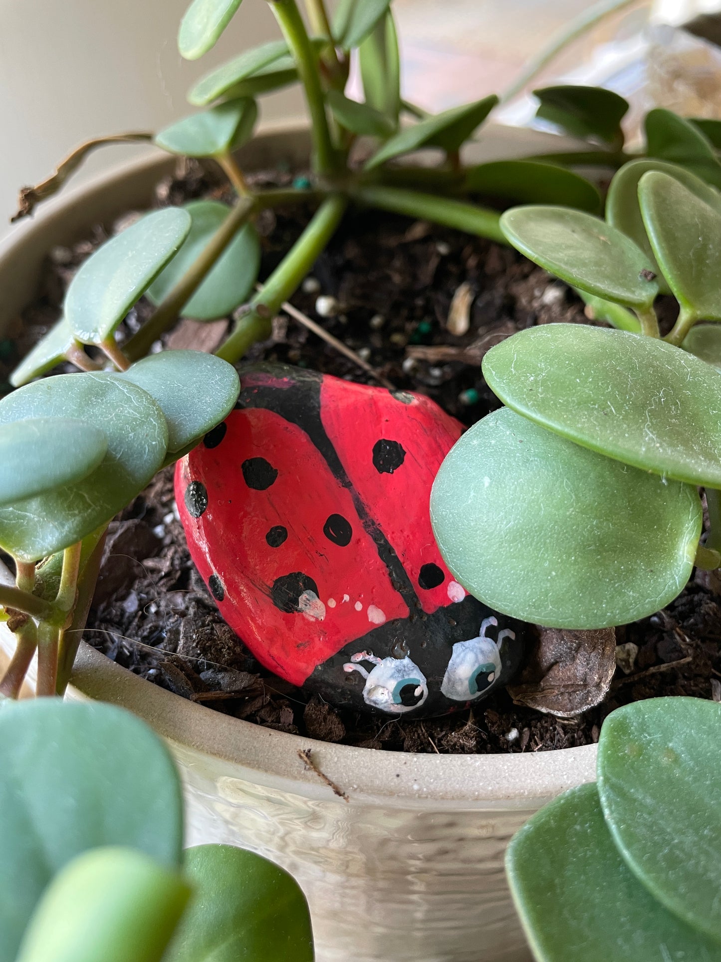 Hand Painted Garden Stones