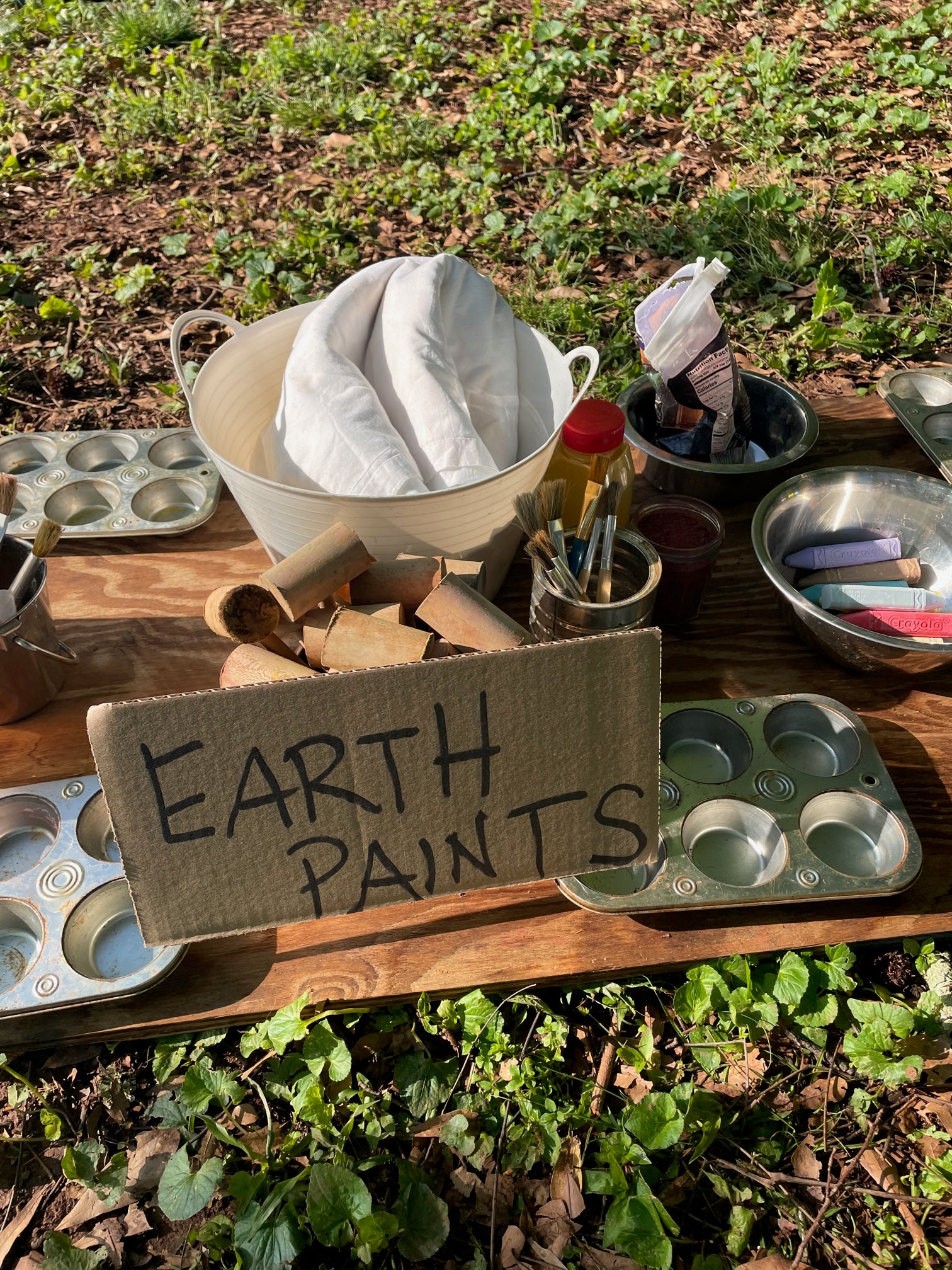 Earth Paints: we can set up a painting station to make paint using chalk, charcoal, terra cotta, berries, and more. 