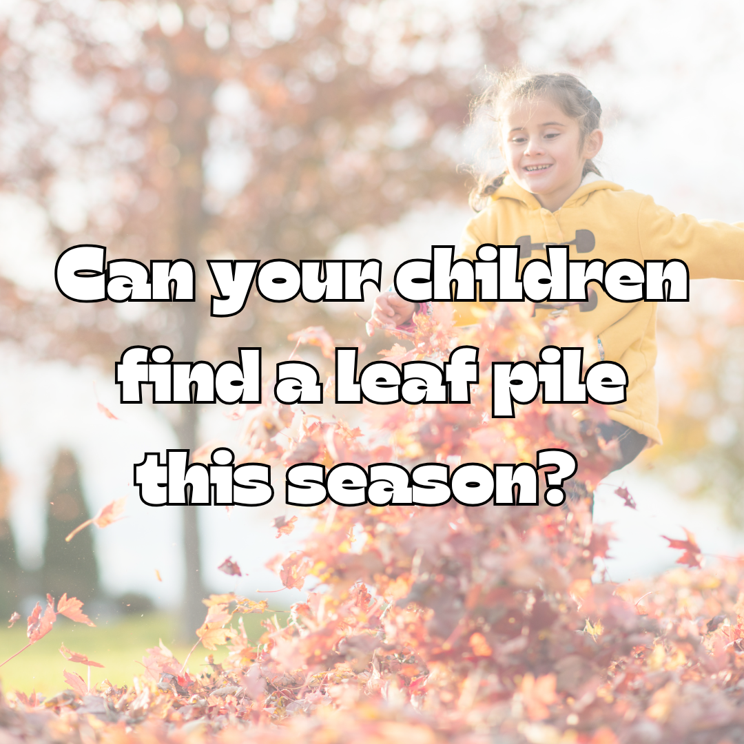 Seasonal Scavenger Hunts
