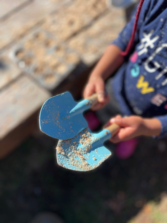 Backyard Play Space Consultation