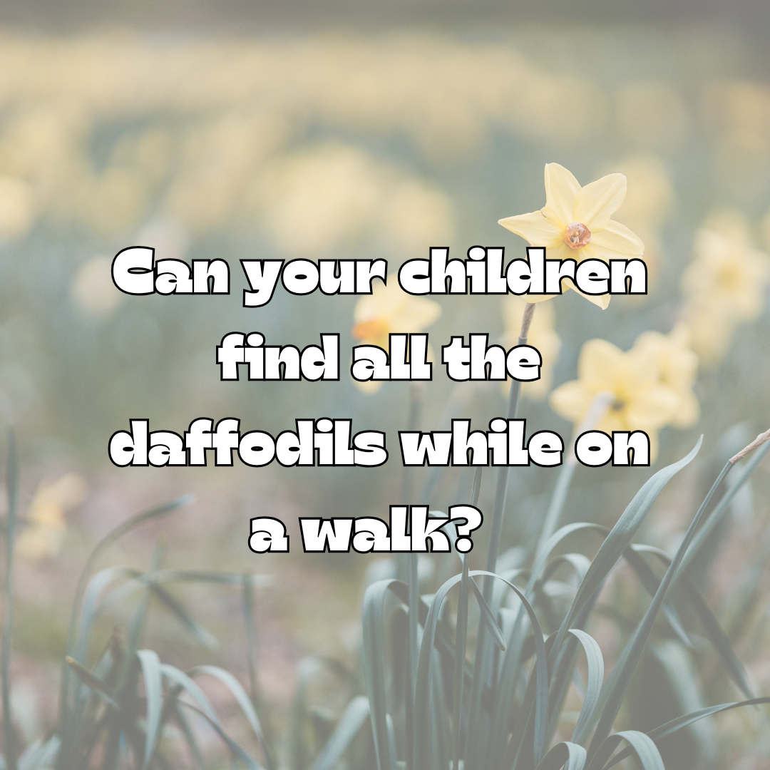 Spring Scavenger Hunt