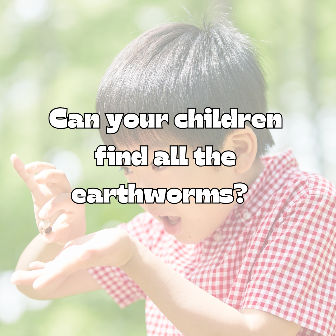 Seasonal Scavenger Hunts