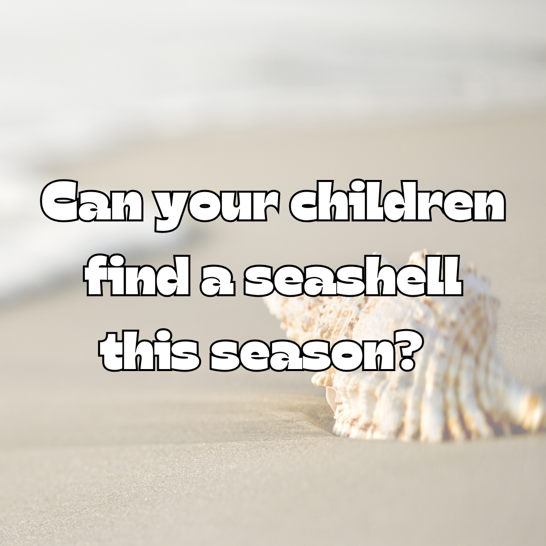 Summer Scavenger Hunt