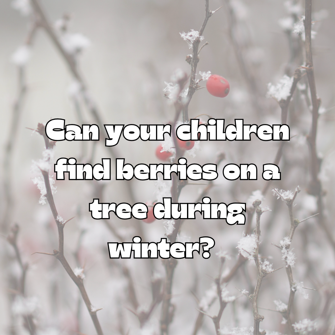 Winter Scavenger Hunt